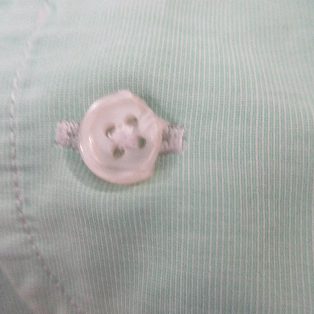 J Crew Mens Slim Fit Button Down Shirt Mint Green Cotton Long Sleeve Large